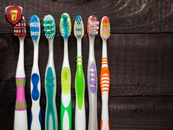 Tổng quan về bàn chải thường