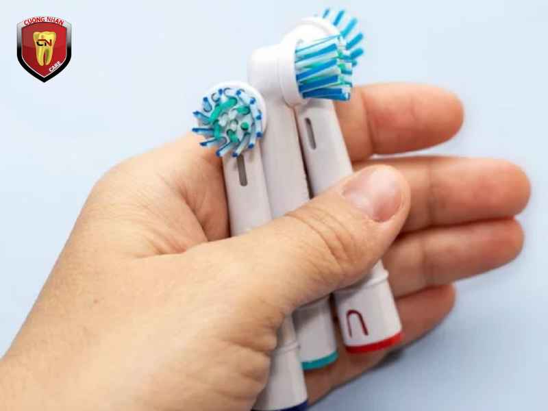 Vì sao cần thay đầu bàn chải điện định kỳ?