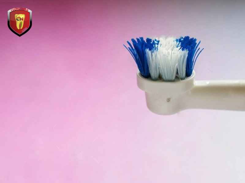 Cách bảo quản bàn chải điện để không bị mốc trở lại