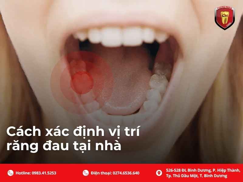 Cách xác định vị trí răng đau tại nhà