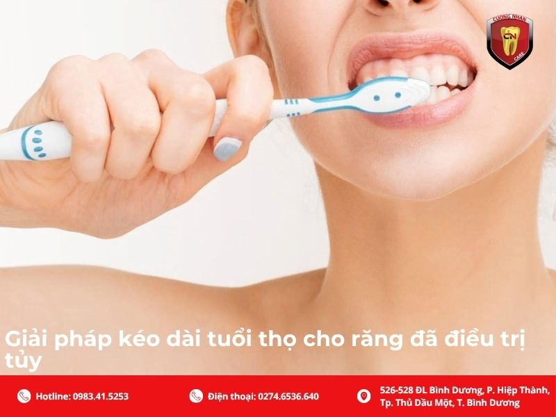 Giải pháp kéo dài tuổi thọ cho răng đã điều trị tủy